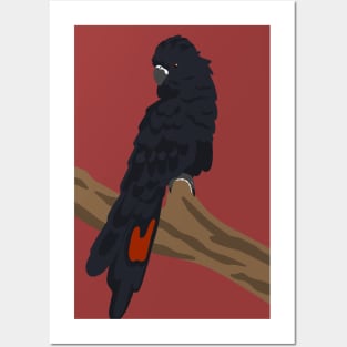 Black Cockatoo Posters and Art